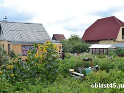 Курганцам объяснили, как они могут отдать свой дачный участок властям