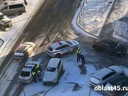 В Кургане пьяная автоледи чуть не подралась с полицейскими