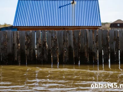 В Курганской области ущерб от большой воды оценивают круглосуточно