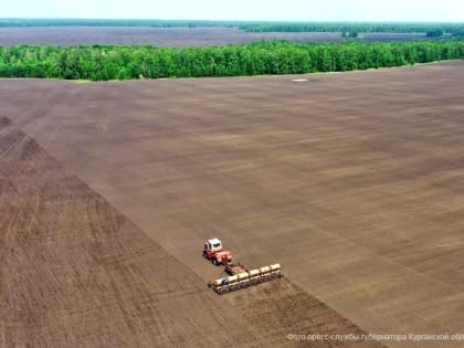 Правительство РФ расширило меры поддержки сельхозпроизводителей