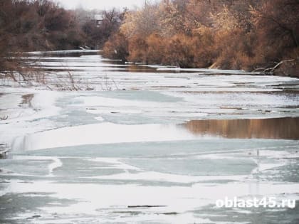 В Кургане вода в Тоболе за сутки поднялась на 43 сантиметра