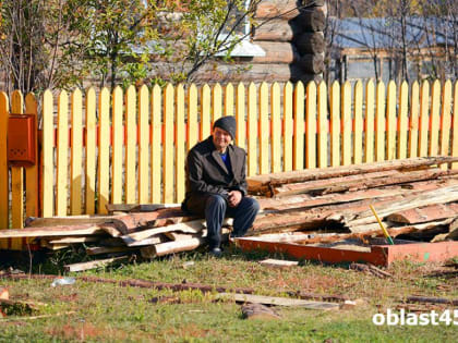 Из Зауралья в Казахстан чуть не увезли заражённый лес