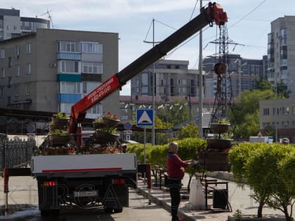 Лето близко! Курганские улицы, парки и скверы украшают цветы в вазонах