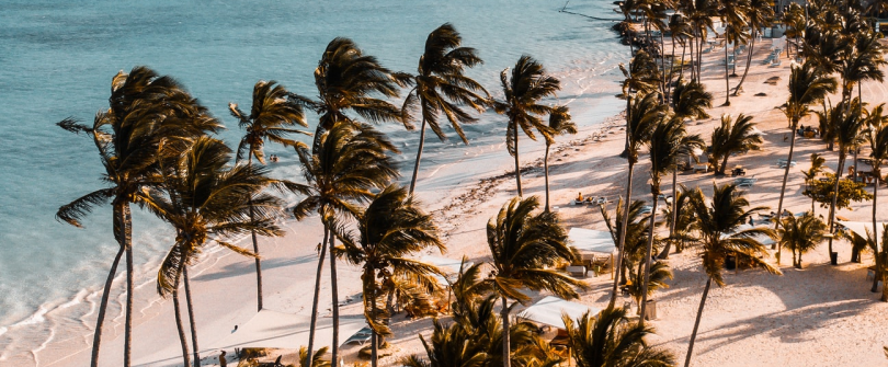 Paradise