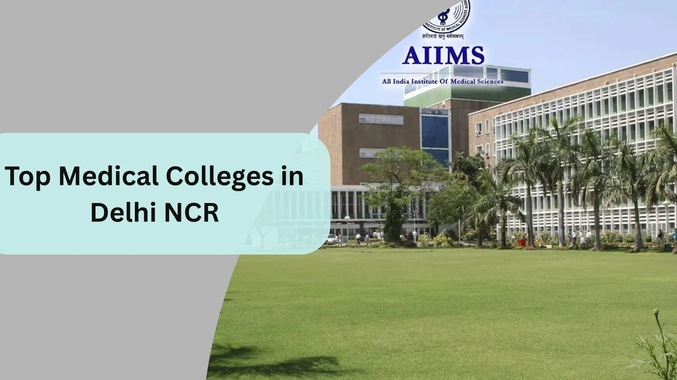 Top Medical Colleges in Delhi NCR 2026