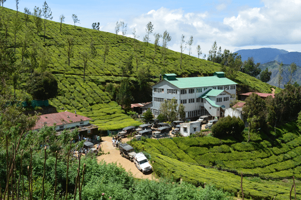 Munnar 4