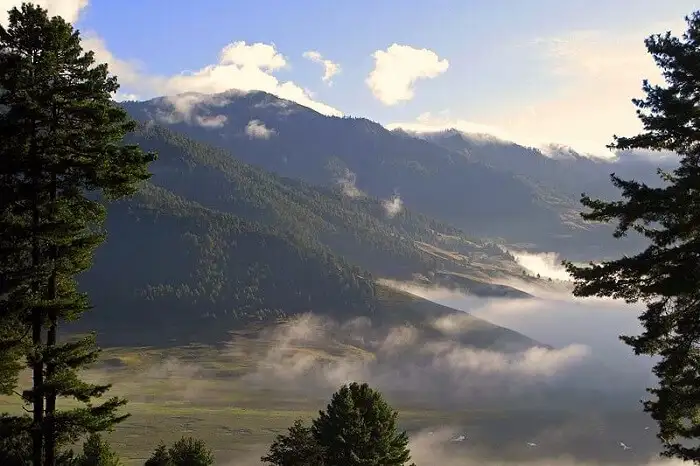 Manas National Park 3