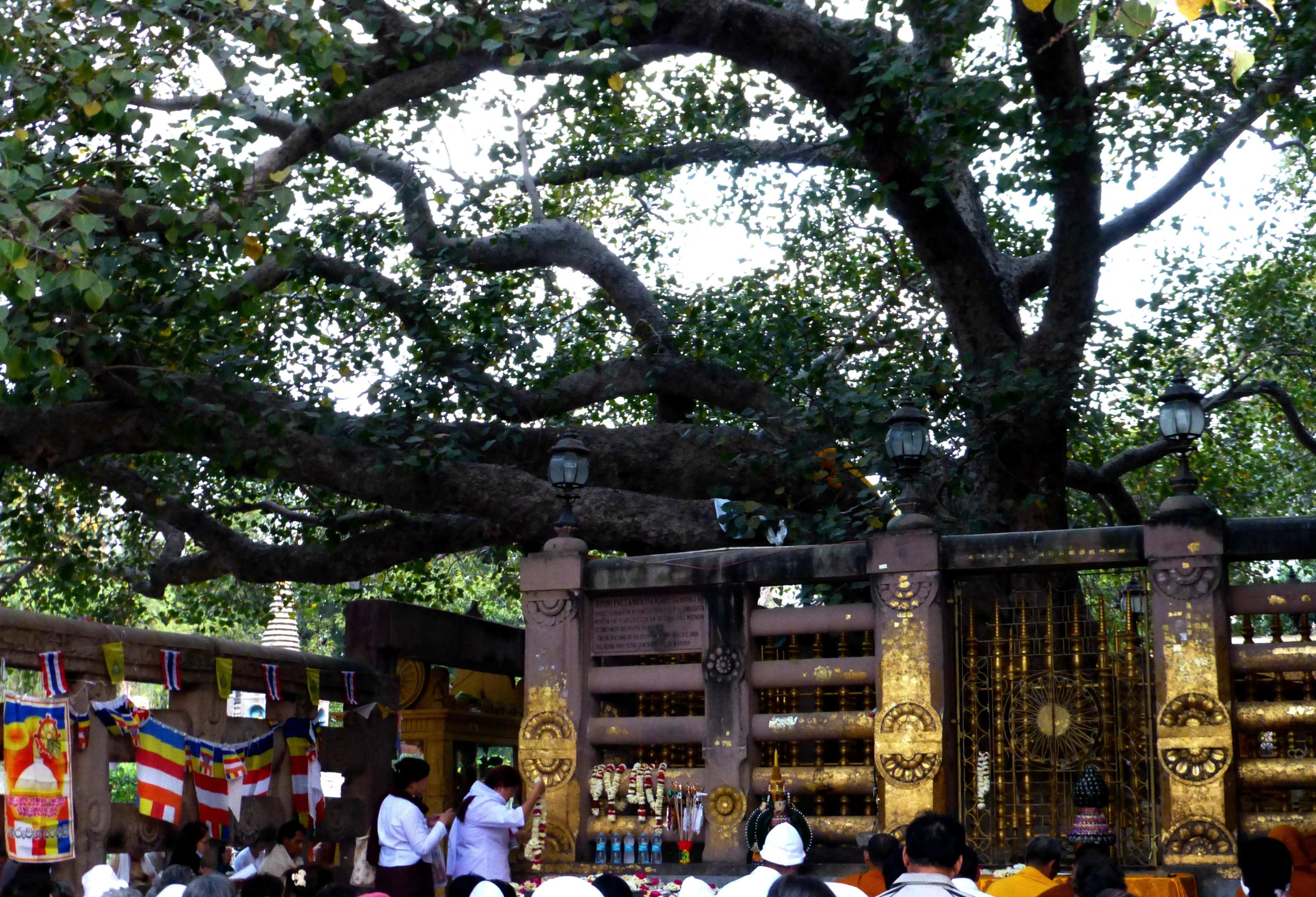Bodh Gaya 2