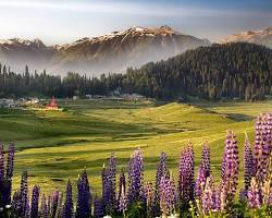 Gulmarg 3