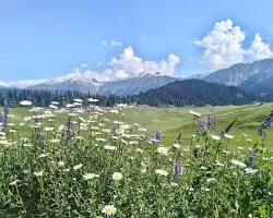 Gulmarg 5