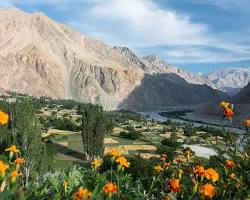 Nubra Valley 5