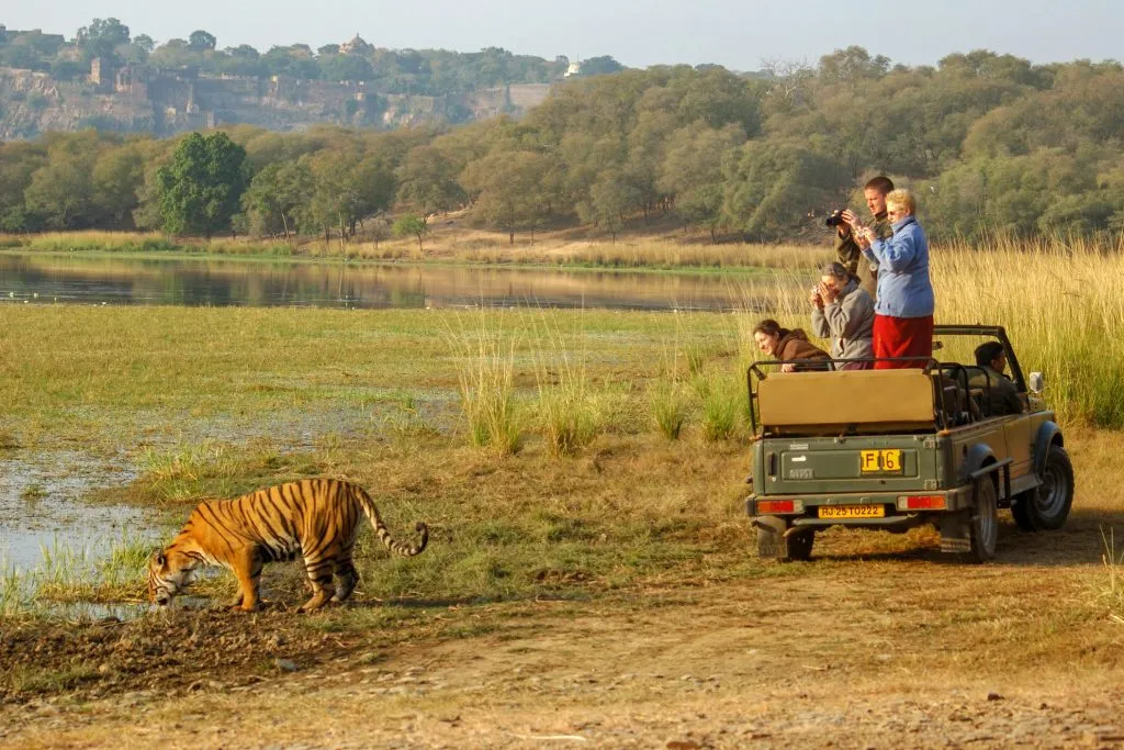 Ranthambore National Park 5