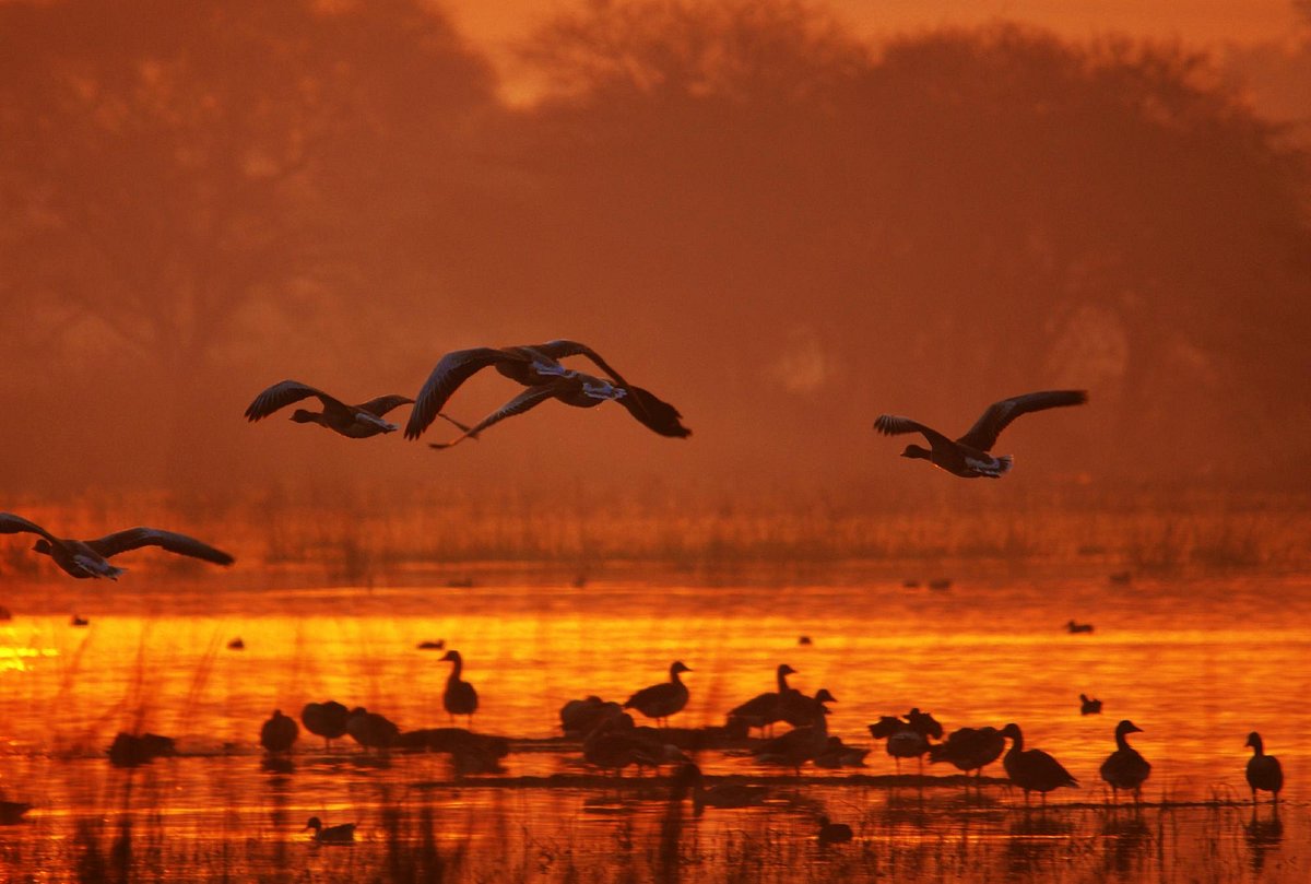 Sultanpur National Park 4