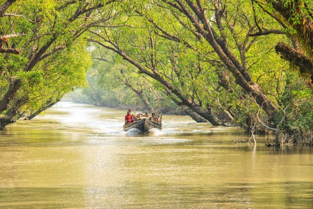 Sundarbans National Park 2
