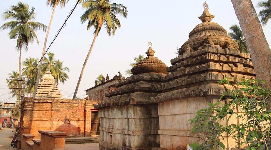 Raghurajpur Heritage Village 5