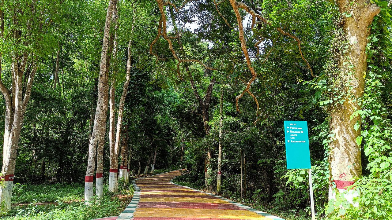 Sepahijala Wildlife Sanctuary 4