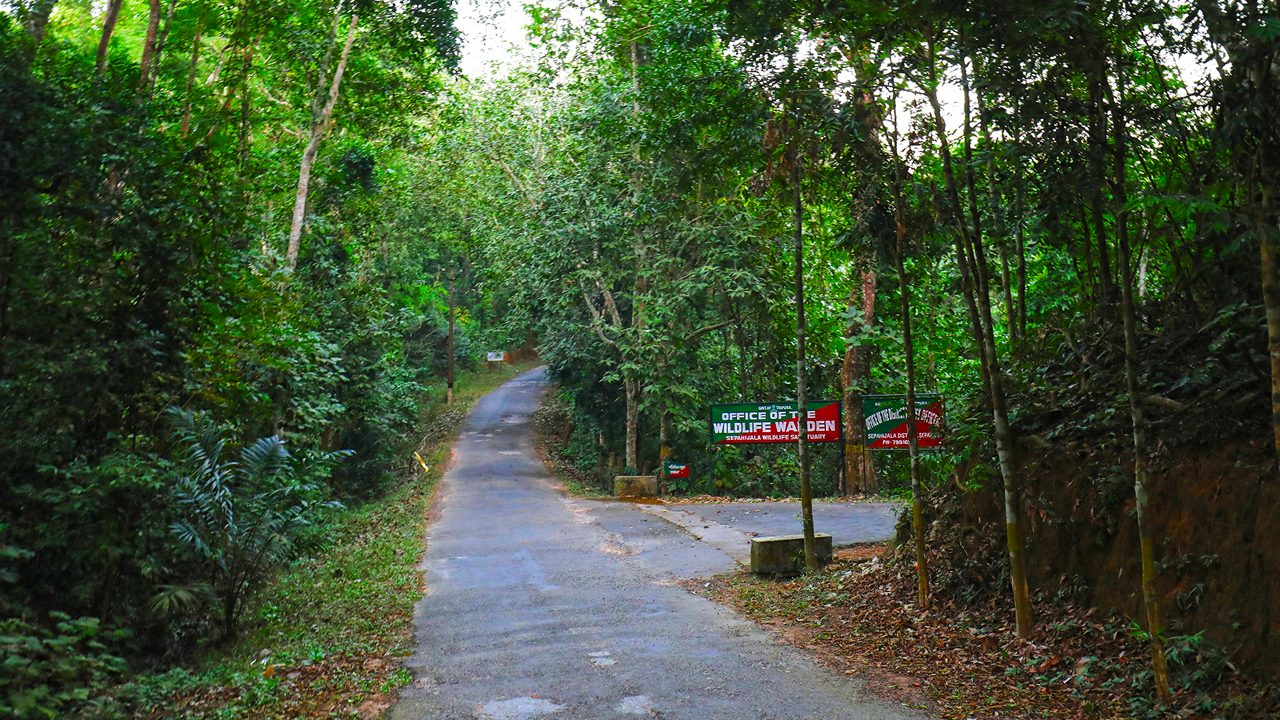 Sepahijala Wildlife Sanctuary 5