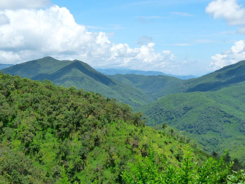 Murlen National Park 4