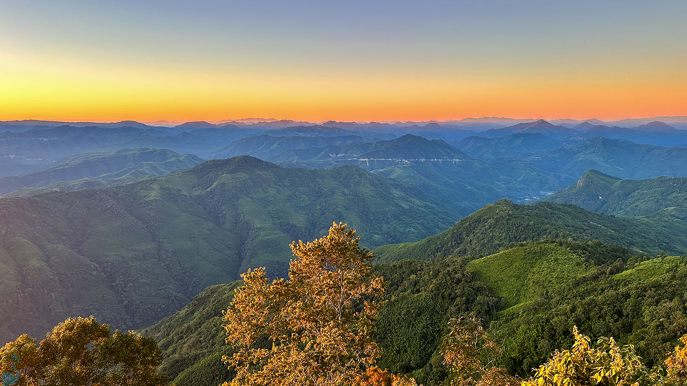 Phawngpui (Blue Mountain) 5