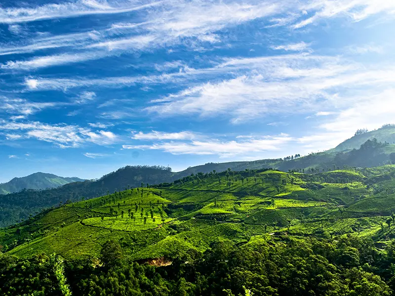 Kodaikanal 6
