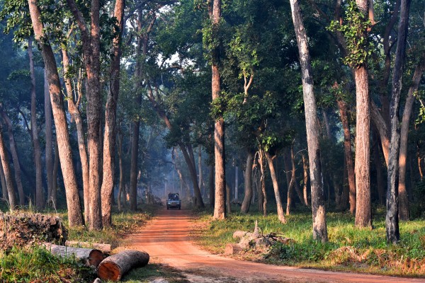 Dudhwa National Park 4