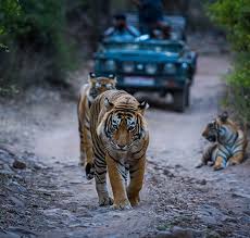 Dudhwa National Park 5