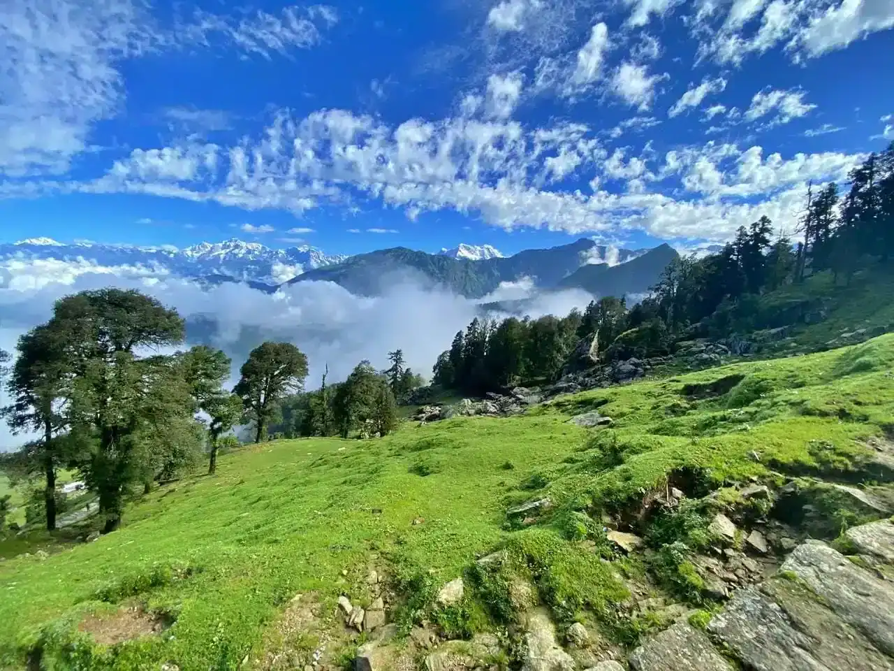 Chopta 2