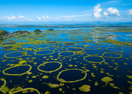 Loktak Lake 2