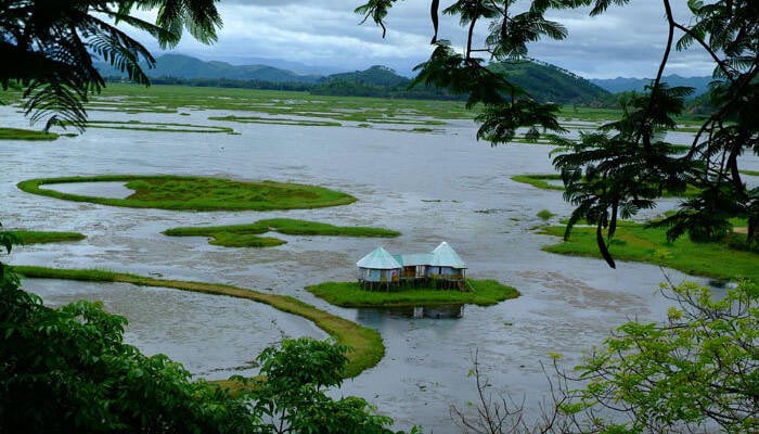 Loktak Lake 5