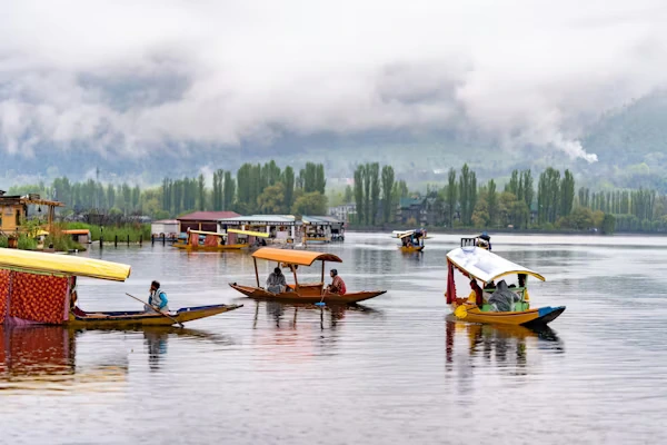 My Peaceful Winter Escape to Kashmir - Srinagar Gulmarg – Kashmir travel guide