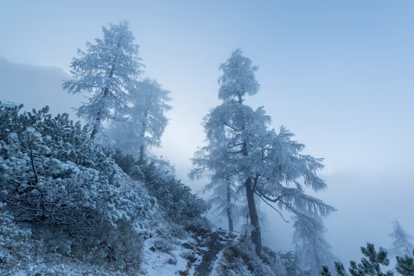 My Christmas Trip to Shimla: A Snowy Holiday Story - Shimla-Himachal Pradesh travel guide