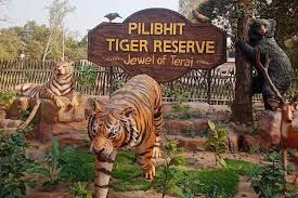 Pilibhit Tiger Reserve 4