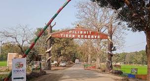 Pilibhit Tiger Reserve 3
