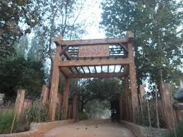 Maredumilli Forest filming location in Andhra Pradesh