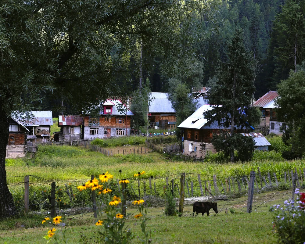 Bagtore 2