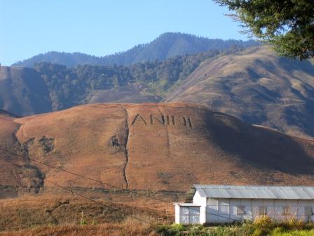 Anini 4