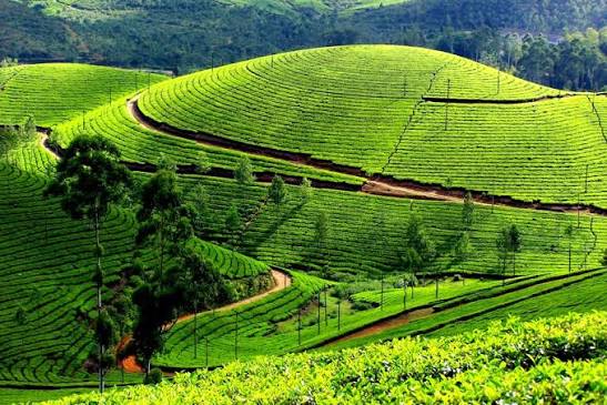 Places in India That Look Like Foreign Countries: 5 Stunning Destinations You Must Visit in 2026 - Khajjar, Munnar, Spiti Valley, Puducherry travel guide