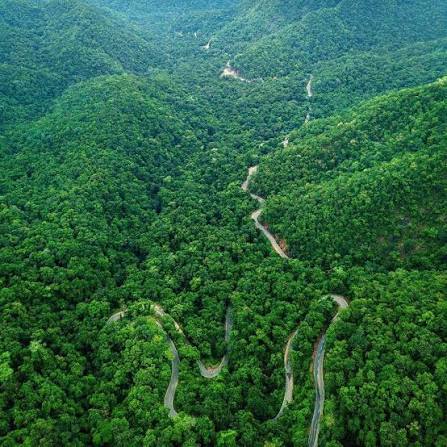 Best Places to Visit in India After Monsoon 2026: 5 Destinations That Feel Made for the Season - India travel guide