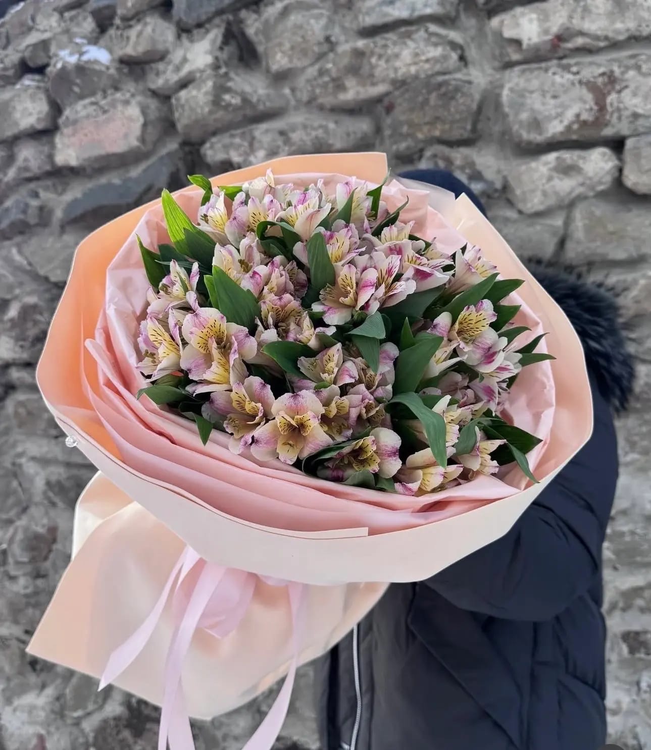 Alstroemeria magic