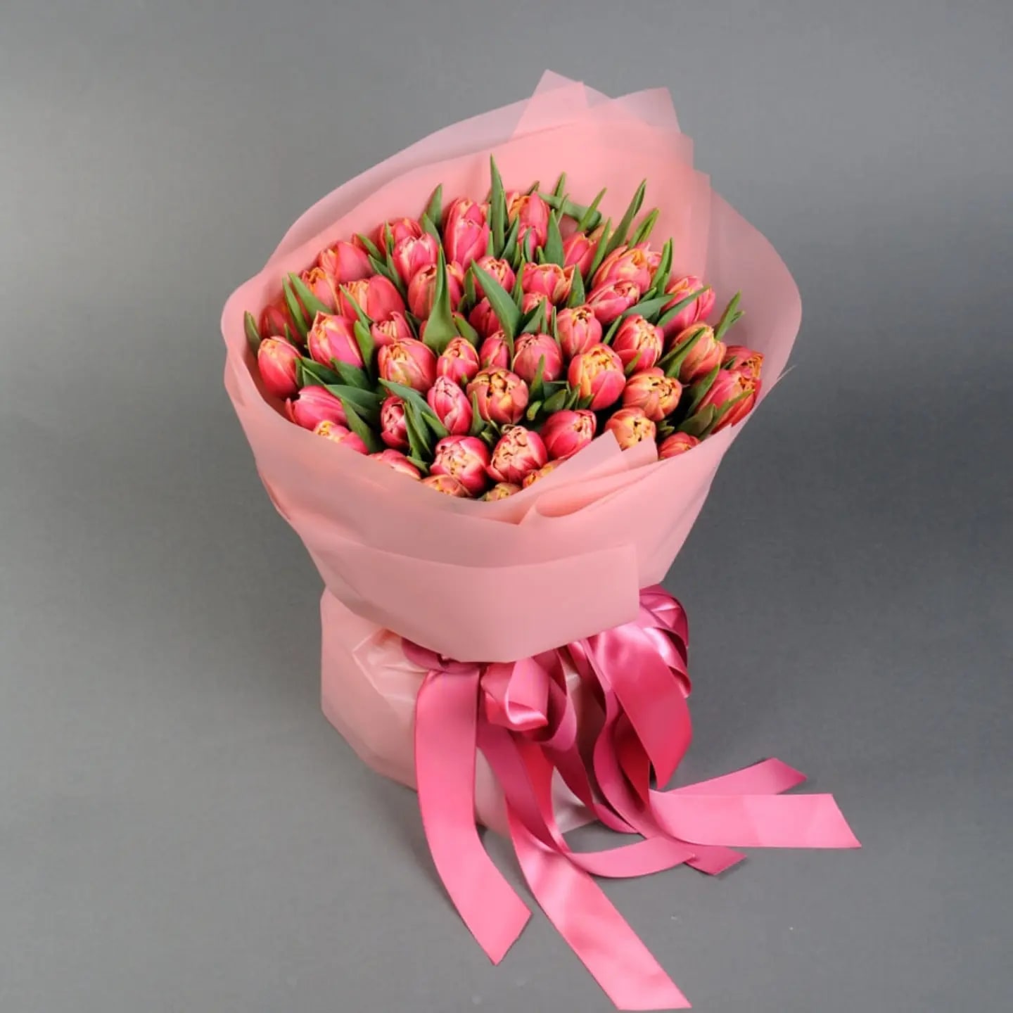 Red-pink tulips