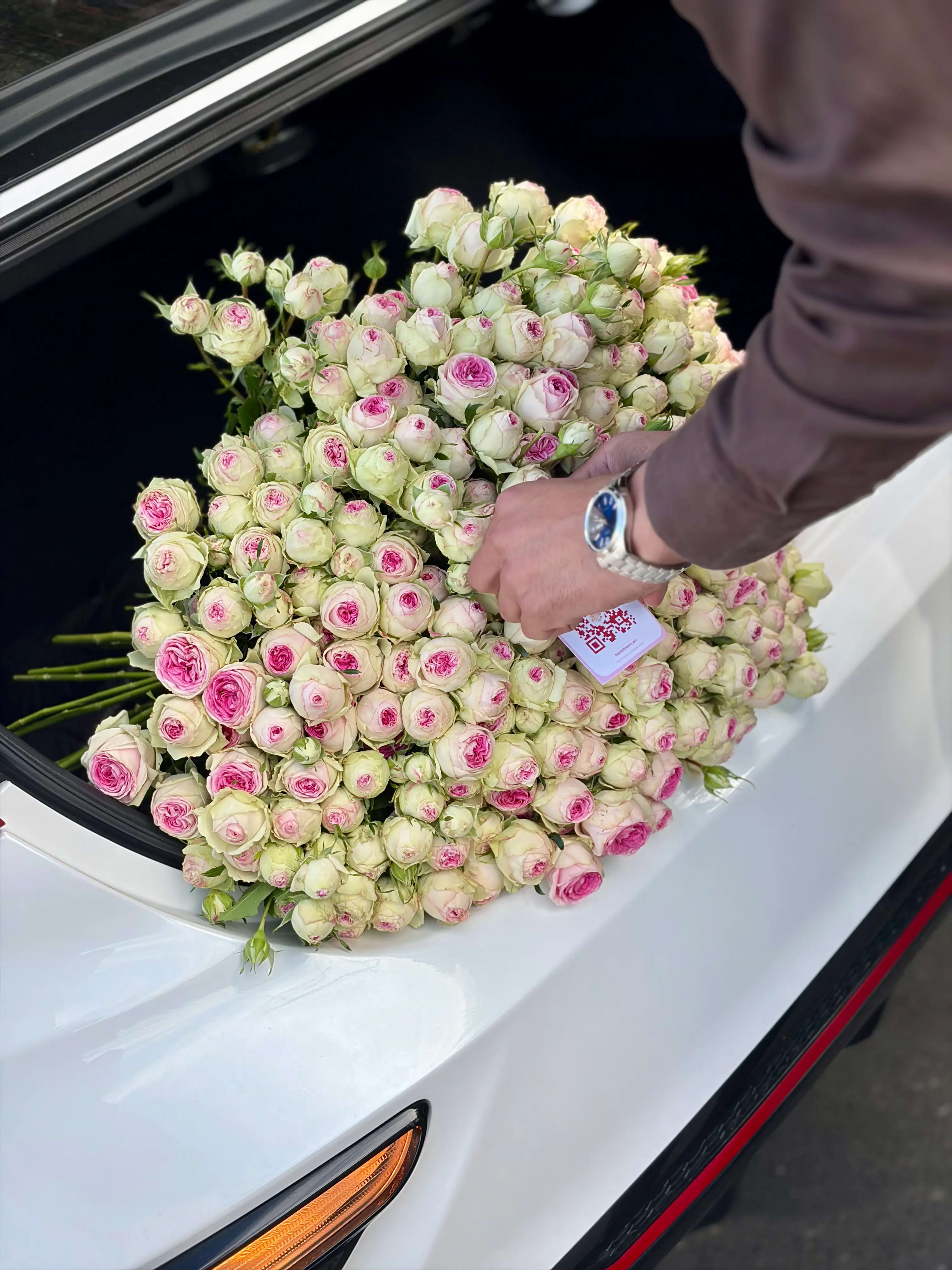 “Lady Bombastic” spray roses