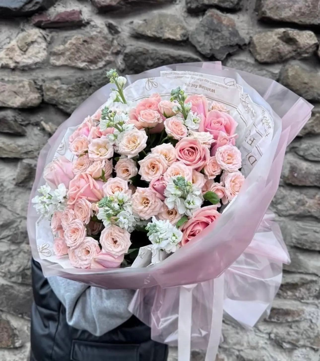 Pink dream