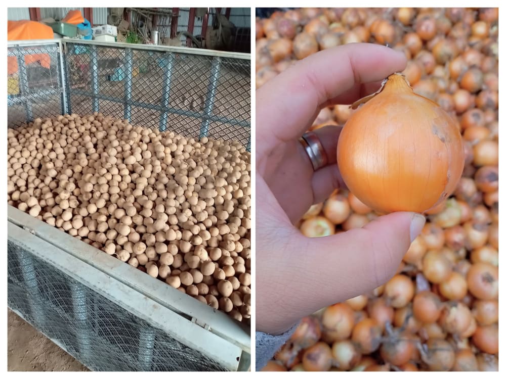 ジャガイモ専門ECサイト