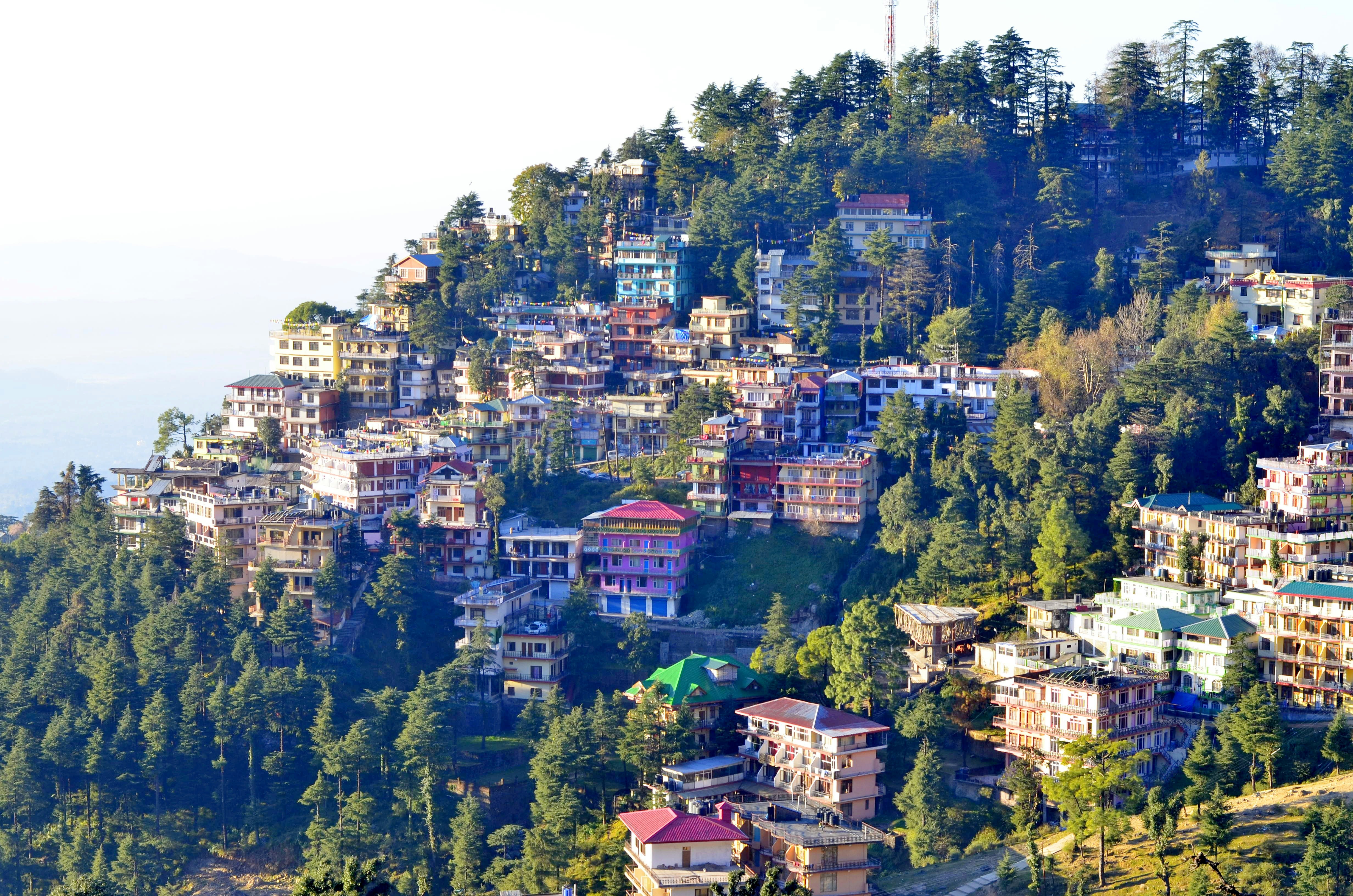 wanderlust_DEV/Shimla Hilltop Hotel_1748292132392