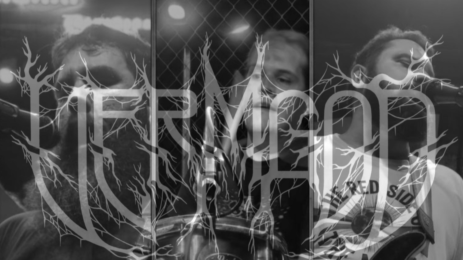 Vermgod — foto de capa