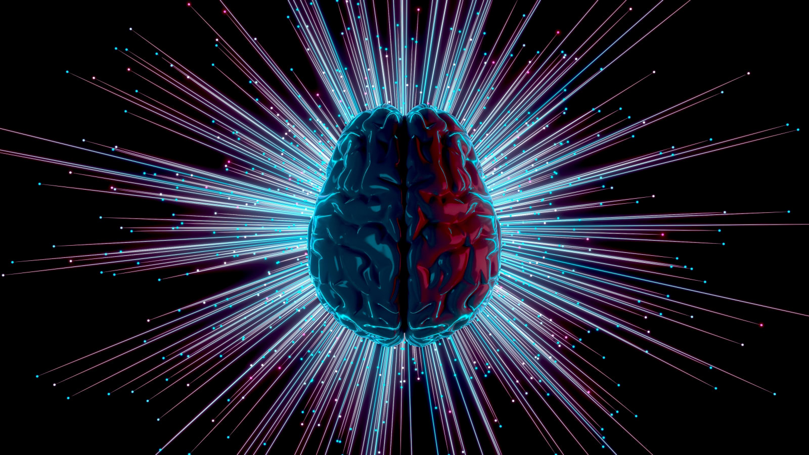 Neural network visualization