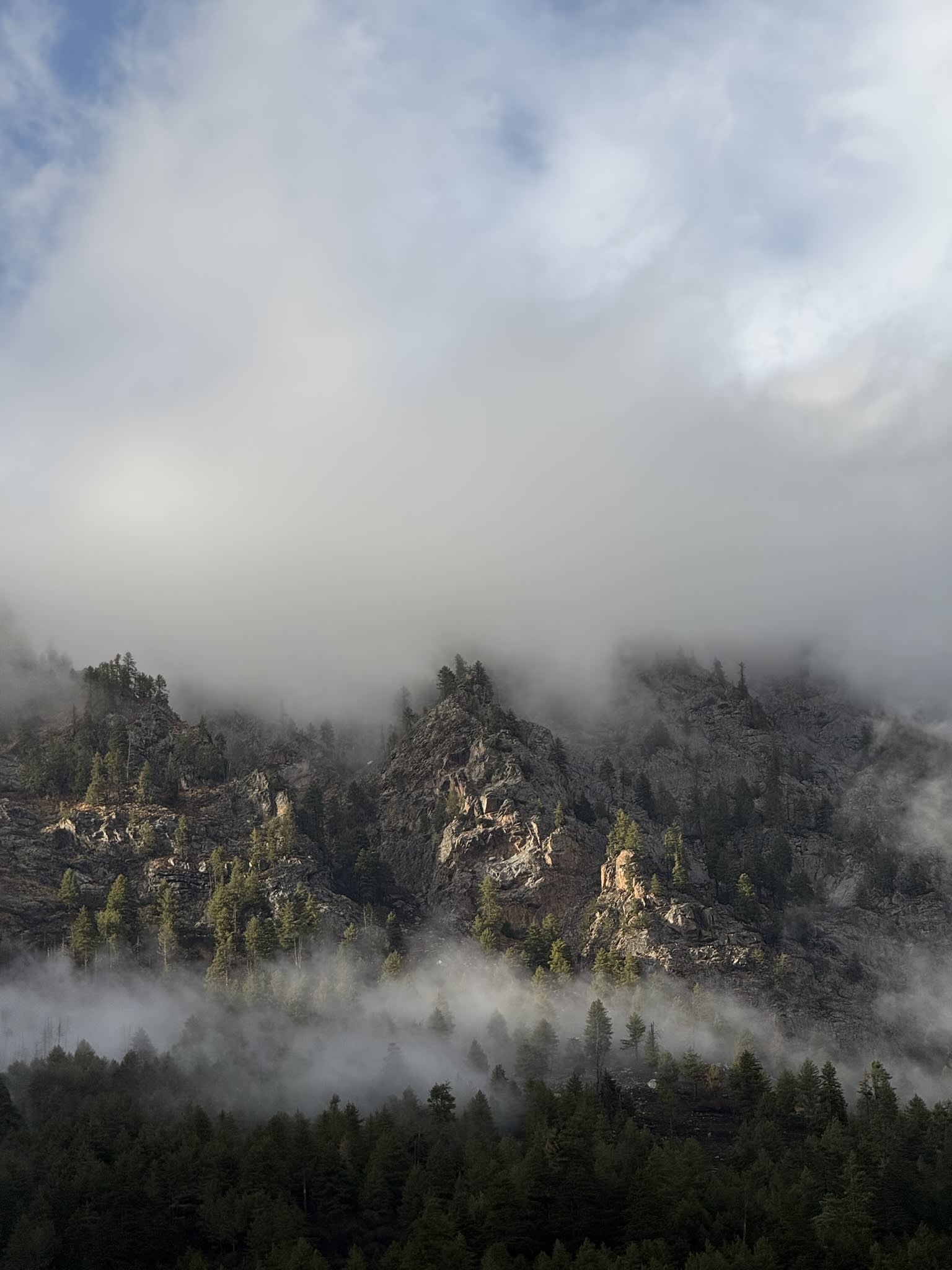Snow-capped mountains and pine forests in Harshil Valley, Uttarakhand
