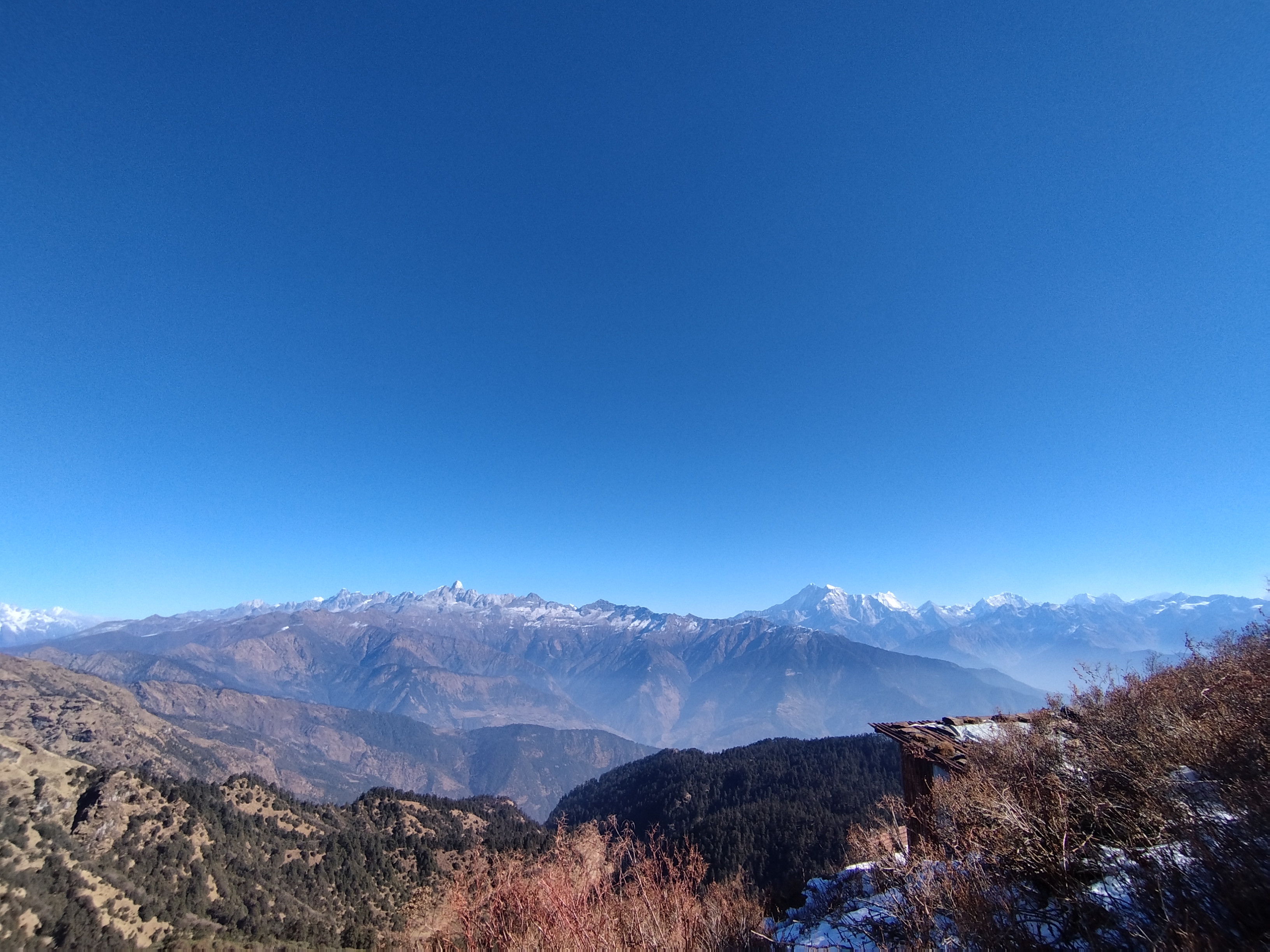 kuri gaun