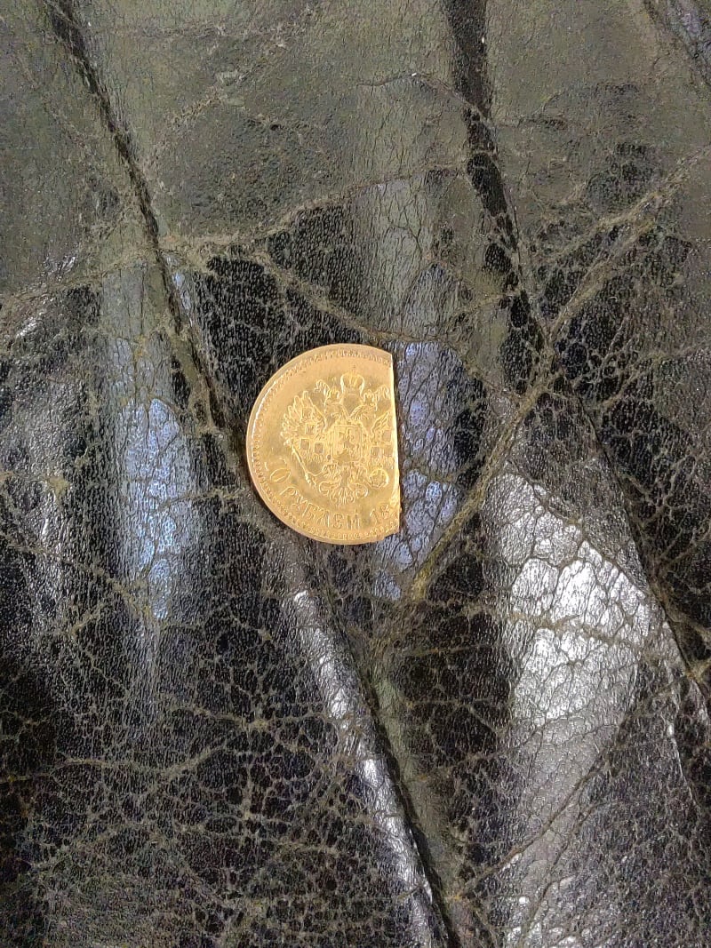 Image for Gold coin