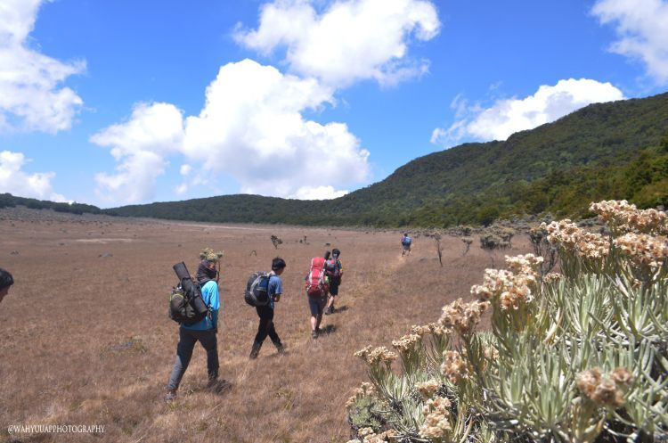 Menyatu dengan Alam, Ini 5 Gunung yang Cocok Buat Perayaan Kemerdekaan trekking di surya kencana 750x497 Menyatu dengan Alam, Ini 5 Gunung yang Cocok Buat Perayaan Kemerdekaan